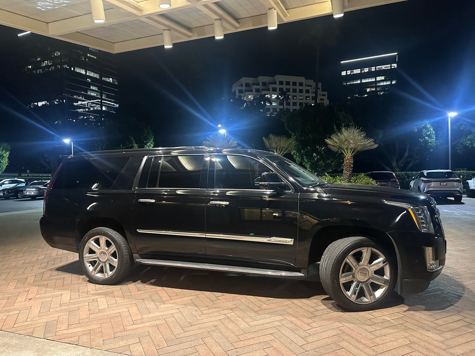 Book Ontario Executive Limo – Professional Chauffeur Service
